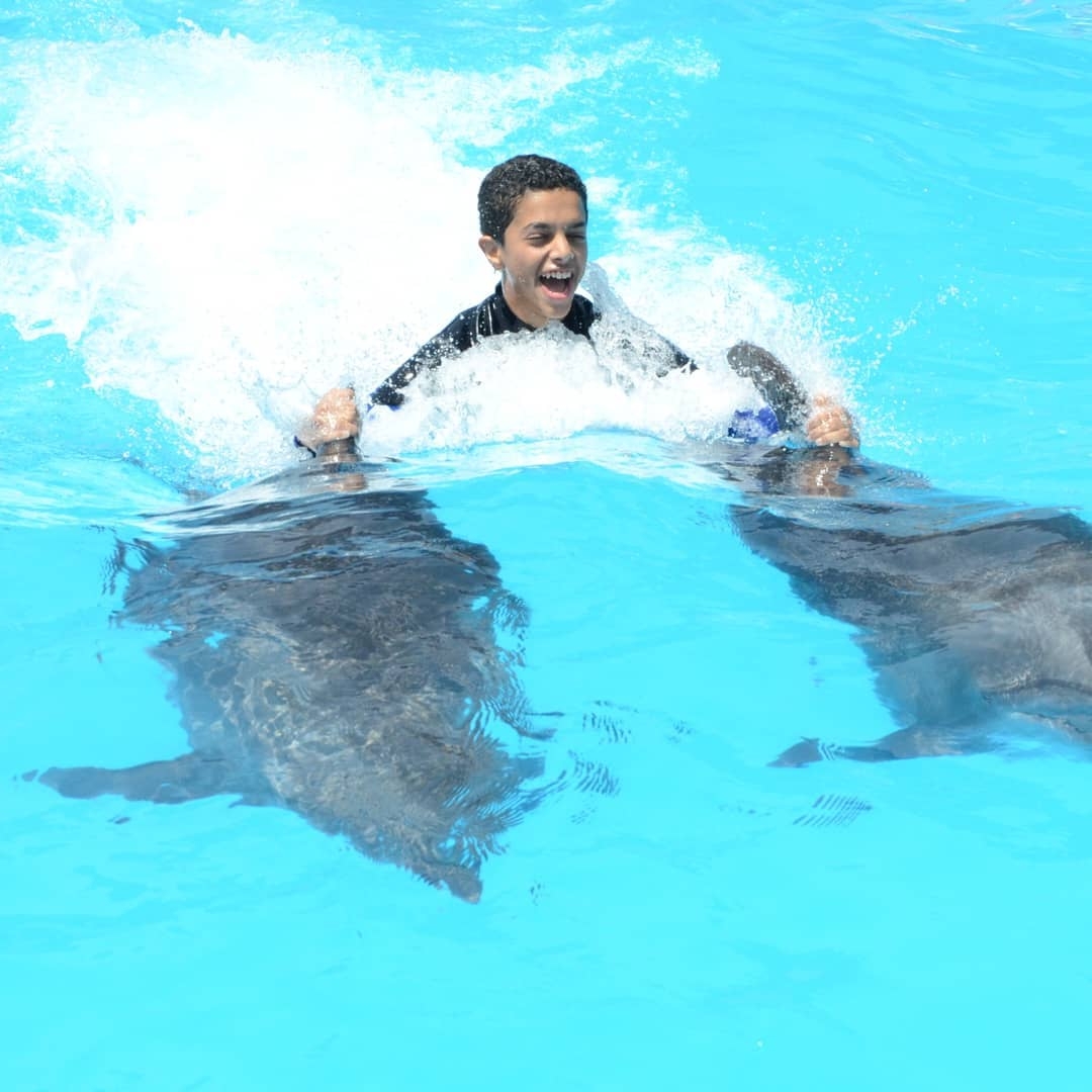 Dolphin Explorer — Punta Cana